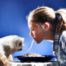 Dieta e nutrizione corretta per animali domestici