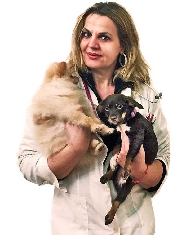 Lara Fornai Veterinario da Te cure domiciliari per animali